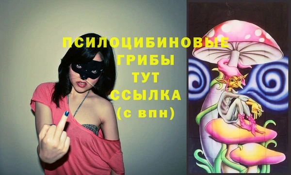 MDMA Богданович