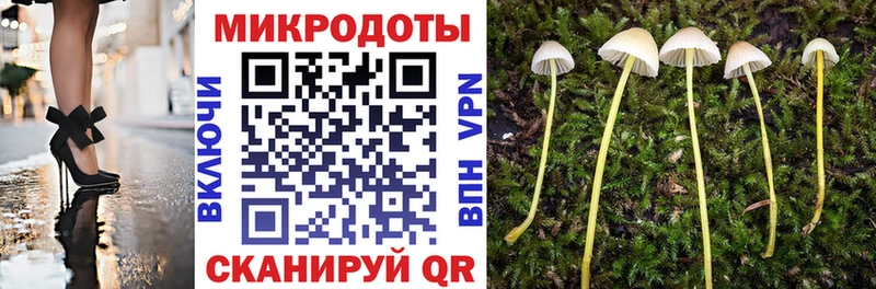 Псилоцибиновые грибы прущие грибы  как найти наркотики  Наволоки 